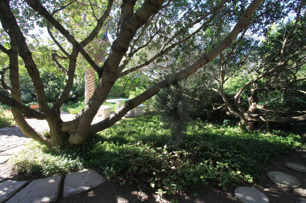 Haven Of Peace And Garden Cottage Hermanus Esterno foto
